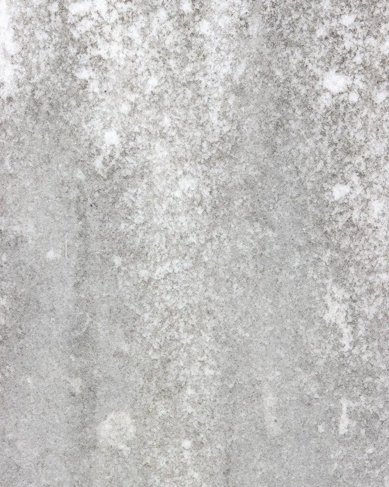 Vinyl Backdrop Goga
