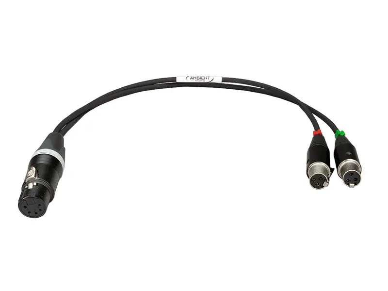 XLR-5F / 2x TA3F - Stereo Adapterkabel - Perivox® Y-Kabel (SKA-TA3)