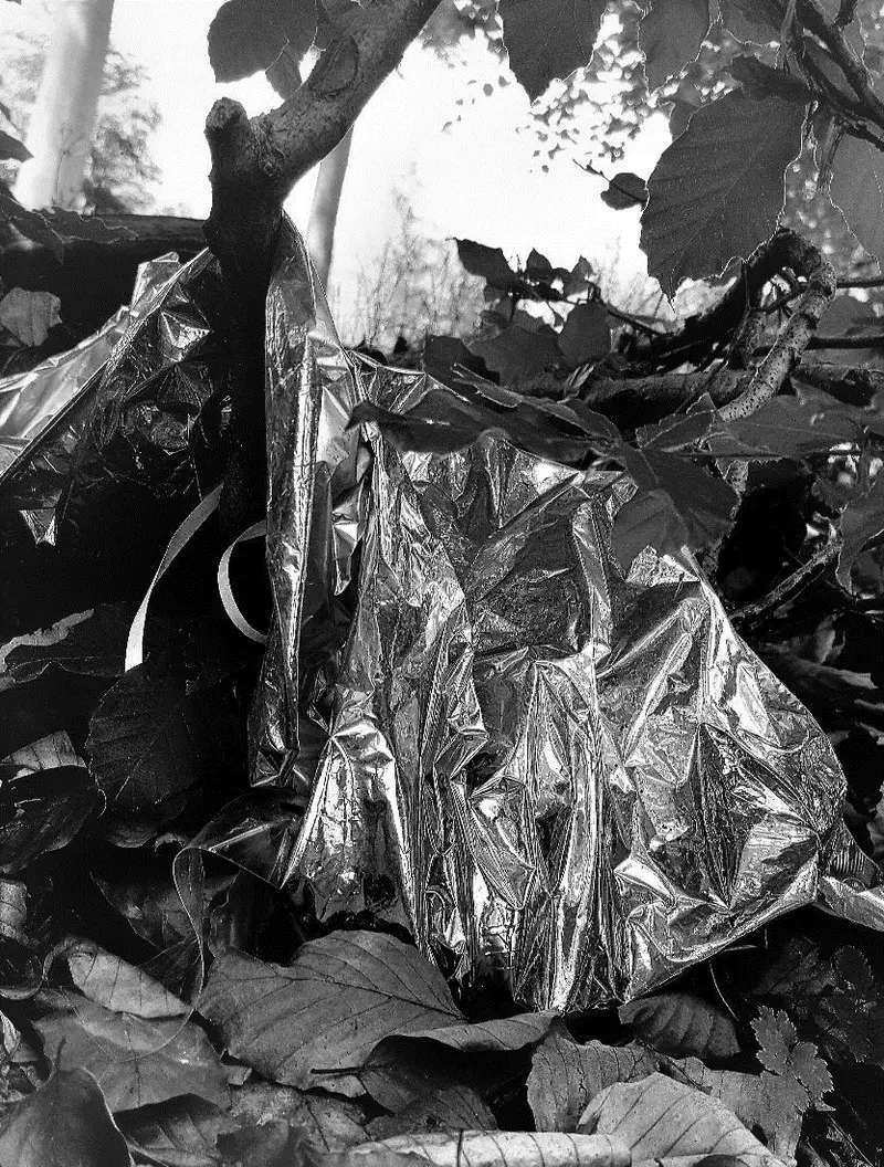 'You don't belong here VII - things in the forest LXXXII'